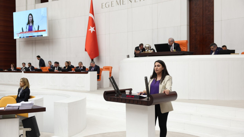 Milletvekili Oduncu, kadın şiddetine dikkat çekti
