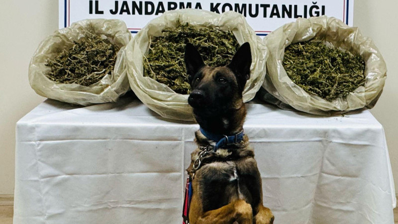 21 BİN 600 GRAM KUBAR ESRAR ELE GEÇİRİLDİ