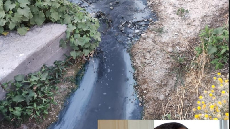 Başkan Argunağa, 