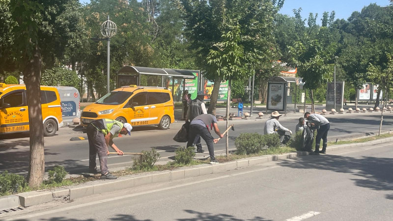 Ana arterlerde kuru ot temizliği yapıldı