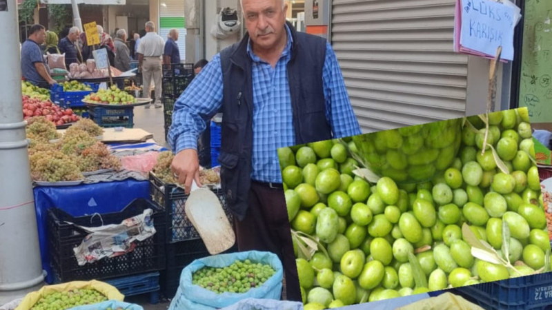 YEŞİL ZEYTİN FİYATINDA YÜZDE YÜZ ARTIŞ