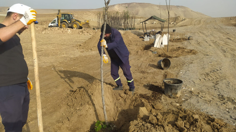 BELEDİYE YENİ KENT MEZARLIĞINDA AĞAÇ DİKİM ÇALIŞMASI BAŞLATTI
