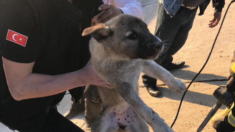 Batman İtfaiyesi 20 bin 719 olaya müdahale etti