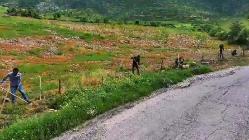 HASANKEYF'E YEŞİL DOKUNUŞ
