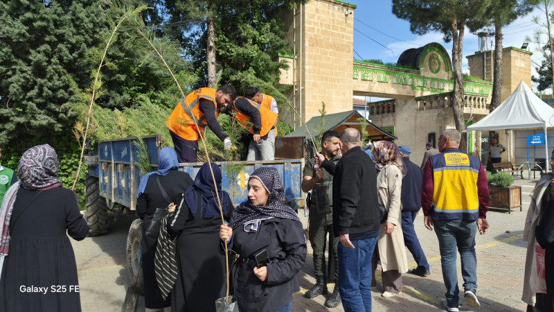 MEZARLIKTA FİDAN DAĞITIMI