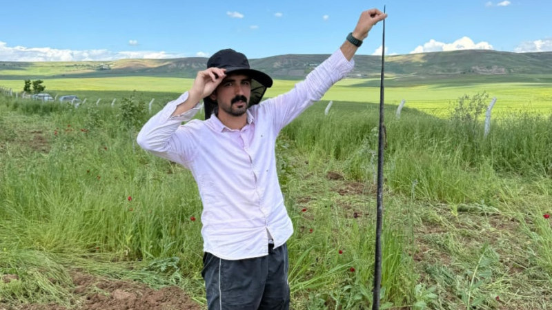 YARALI YILAN YENİDEN DOĞAYA BIRAKILDI