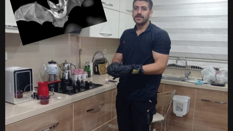 İTFAİYE, YARASA İÇİN SEFERBER OLDU