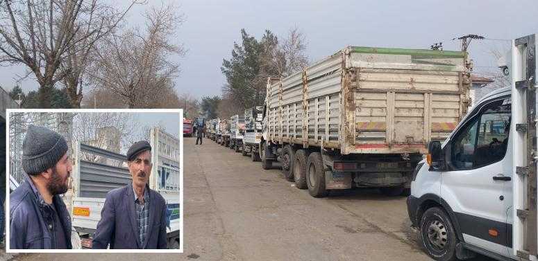İTHAL YEM KUYRUĞU