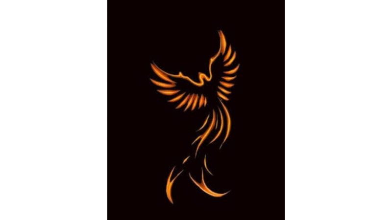 SİMURG - NİHAT EKİNCİ