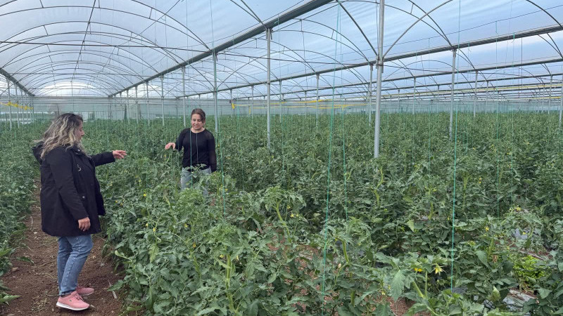 ÇİFTÇİLERE SERA UYARISI : HASTALIK VE ZARARLILARA DİKKAT